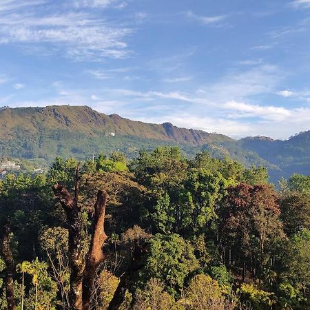Green Tea View Munnar Exteriör bild