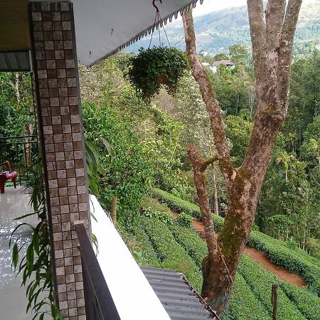 Green Tea View Munnar Exteriör bild