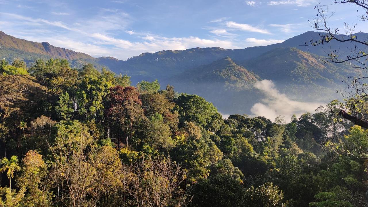 Green Tea View Munnar Exteriör bild